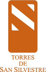 Logo Torres San Silvestre